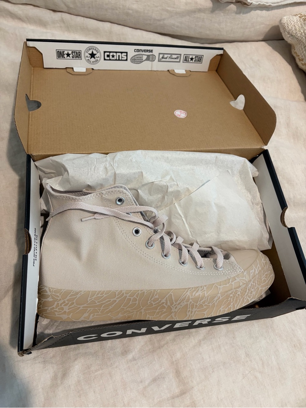 Converse Women’s High Top Sneakers in Pale Beige